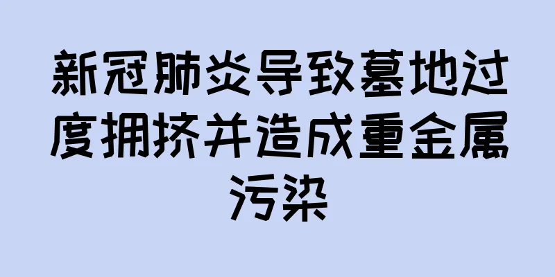 新冠肺炎导致墓地过度拥挤并造成重金属污染