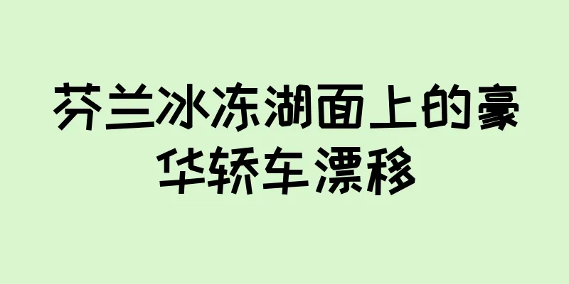 芬兰冰冻湖面上的豪华轿车漂移
