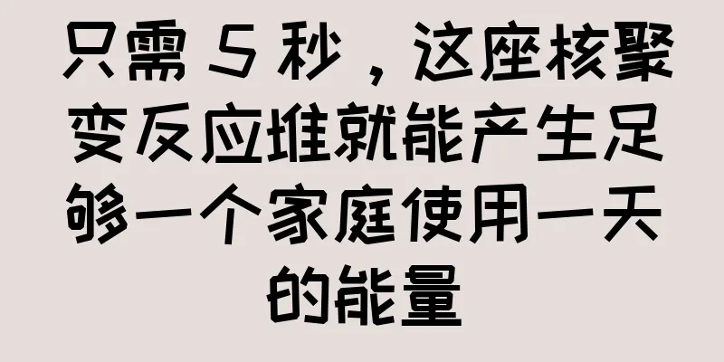只需 5 秒，这座核聚变反应堆就能产生足够一个家庭使用一天的能量