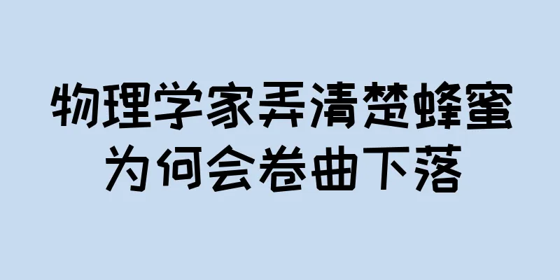 物理学家弄清楚蜂蜜为何会卷曲下落