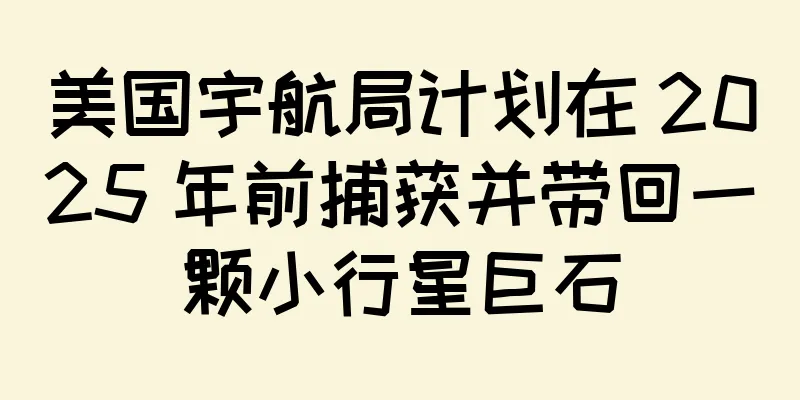 美国宇航局计划在 2025 年前捕获并带回一颗小行星巨石