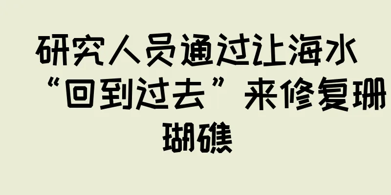 研究人员通过让海水“回到过去”来修复珊瑚礁