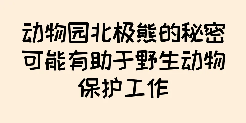 动物园北极熊的秘密可能有助于野生动物保护工作