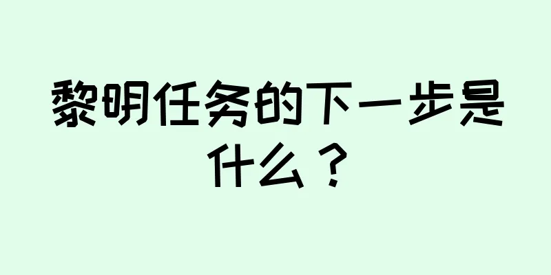 黎明任务的下一步是什么？