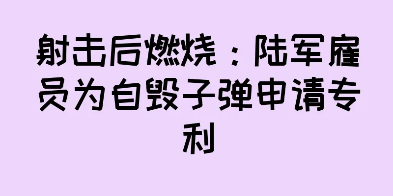 射击后燃烧：陆军雇员为自毁子弹申请专利