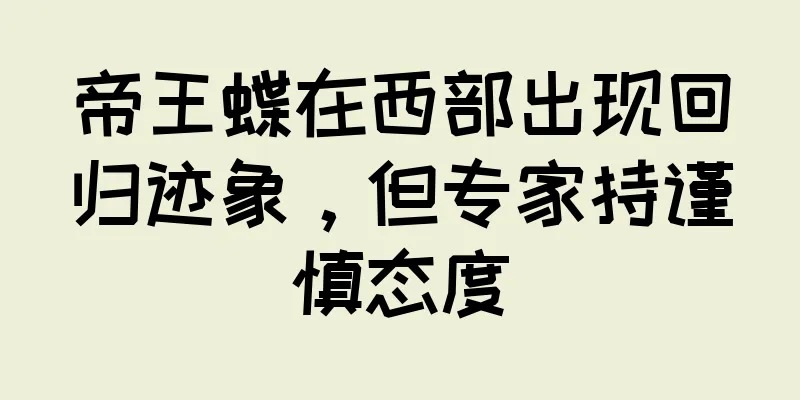 帝王蝶在西部出现回归迹象，但专家持谨慎态度