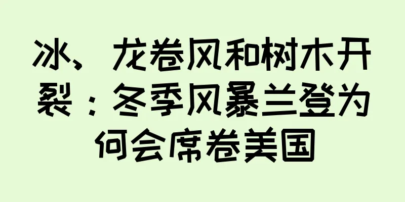 冰、龙卷风和树木开裂：冬季风暴兰登为何会席卷美国