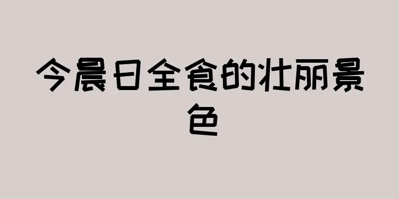 今晨日全食的壮丽景色