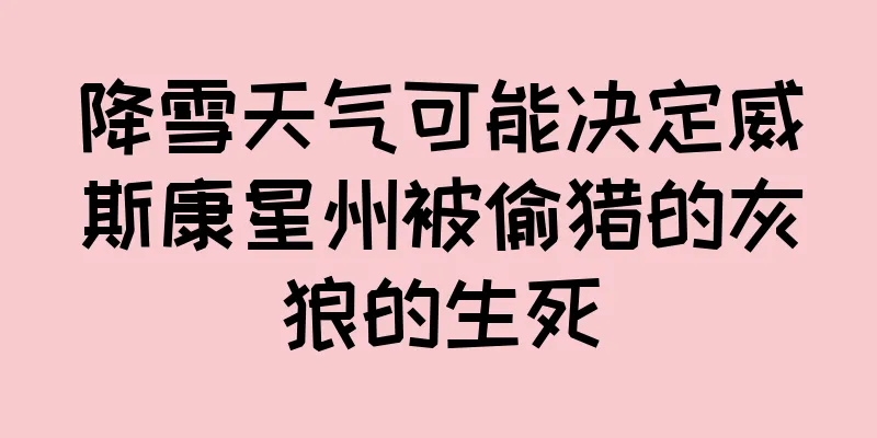降雪天气可能决定威斯康星州被偷猎的灰狼的生死
