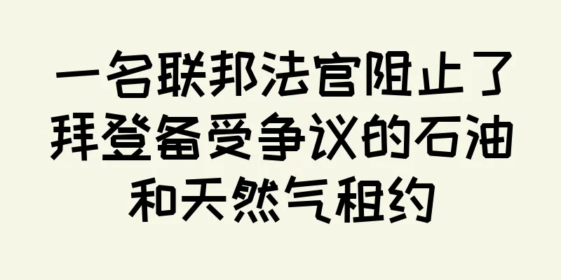 一名联邦法官阻止了拜登备受争议的石油和天然气租约