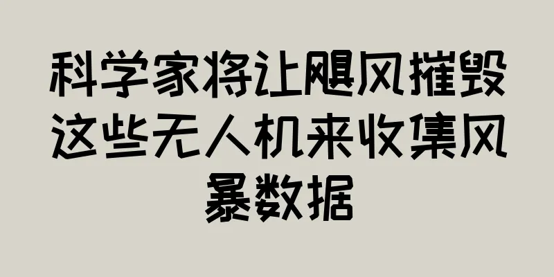 科学家将让飓风摧毁这些无人机来收集风暴数据