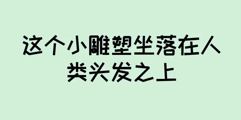 这个小雕塑坐落在人类头发之上