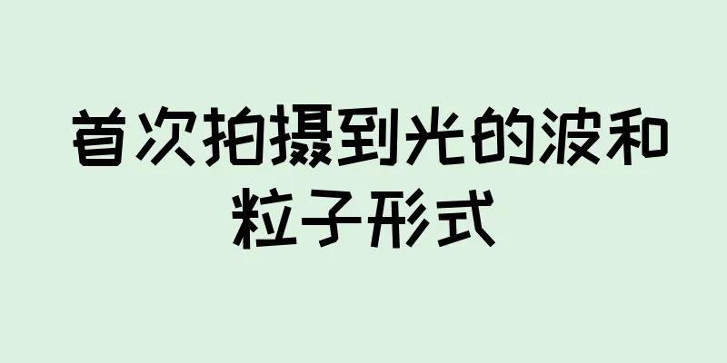 首次拍摄到光的波和粒子形式
