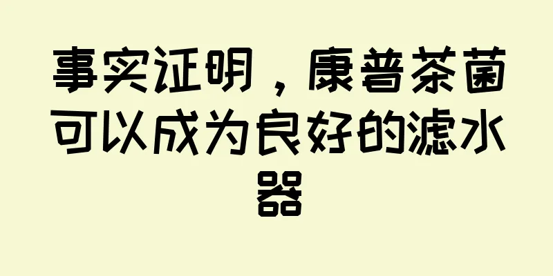 事实证明，康普茶菌可以成为良好的滤水器