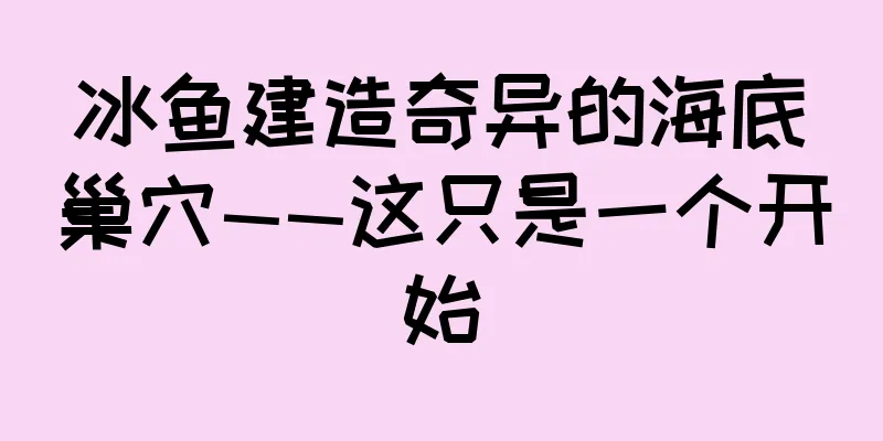 冰鱼建造奇异的海底巢穴——这只是一个开始