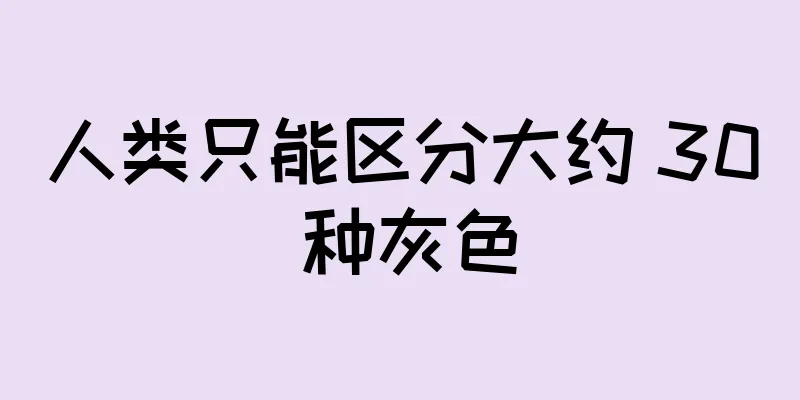 人类只能区分大约 30 种灰色