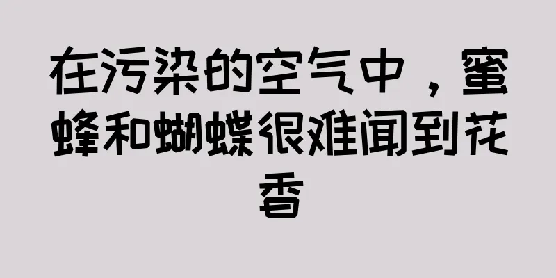 在污染的空气中，蜜蜂和蝴蝶很难闻到花香
