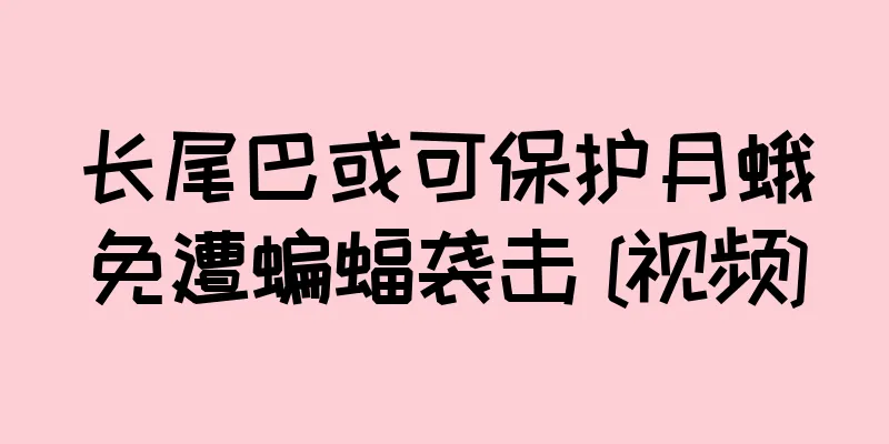长尾巴或可保护月蛾免遭蝙蝠袭击 [视频]