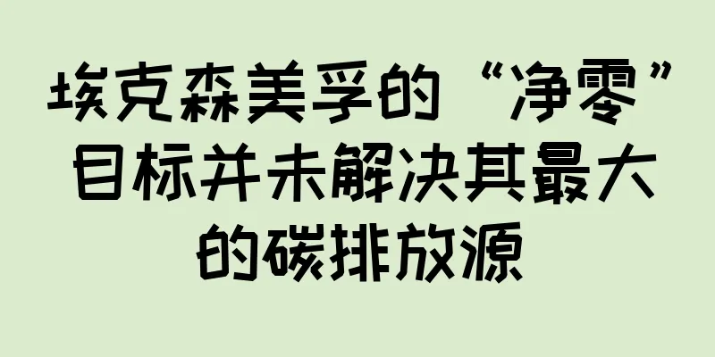 埃克森美孚的“净零”目标并未解决其最大的碳排放源