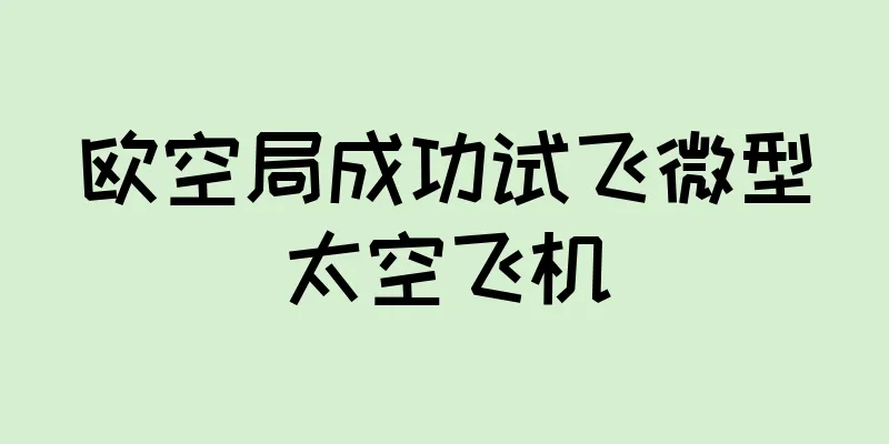 欧空局成功试飞微型太空飞机