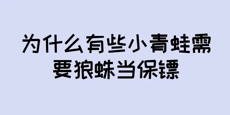 为什么有些小青蛙需要狼蛛当保镖
