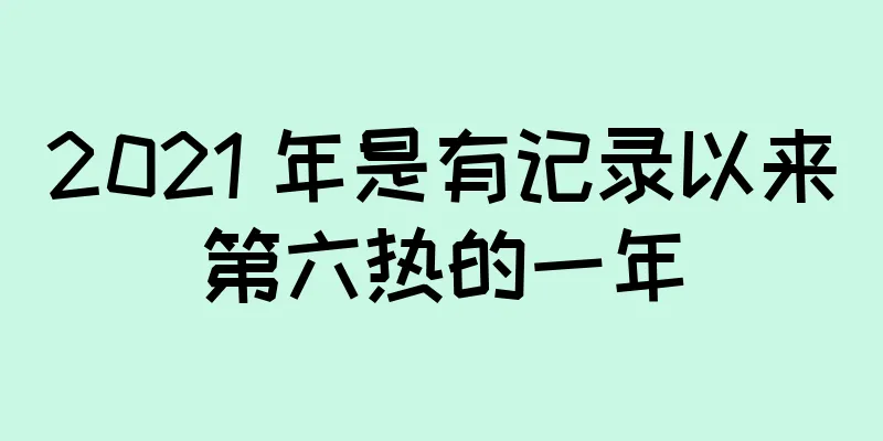 2021 年是有记录以来第六热的一年