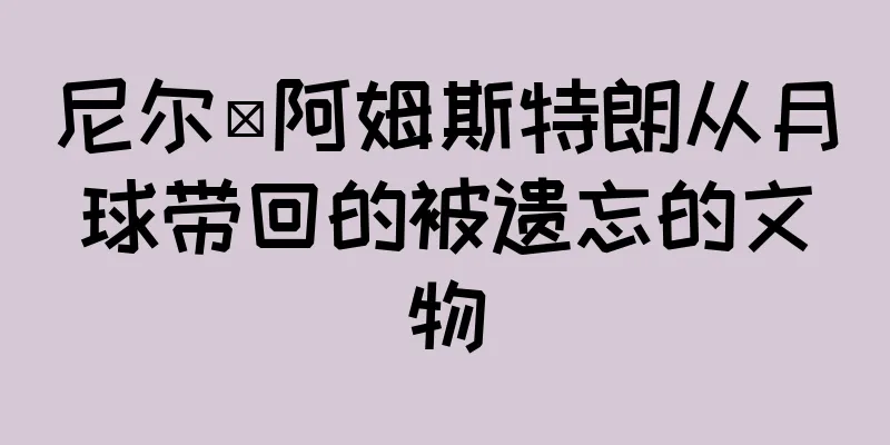 尼尔·阿姆斯特朗从月球带回的被遗忘的文物