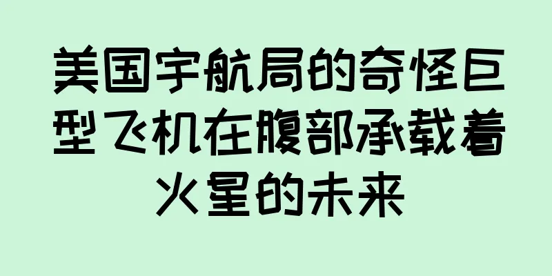 美国宇航局的奇怪巨型飞机在腹部承载着火星的未来