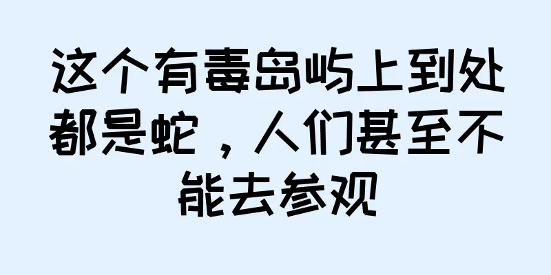 这个有毒岛屿上到处都是蛇，人们甚至不能去参观