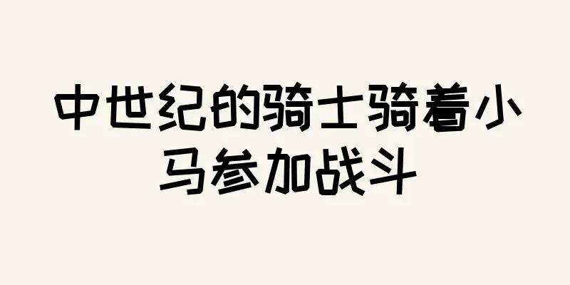 中世纪的骑士骑着小马参加战斗