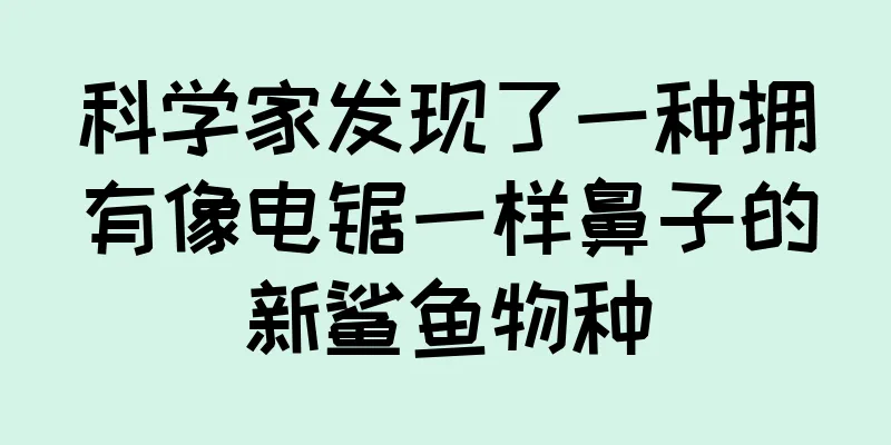 科学家发现了一种拥有像电锯一样鼻子的新鲨鱼物种