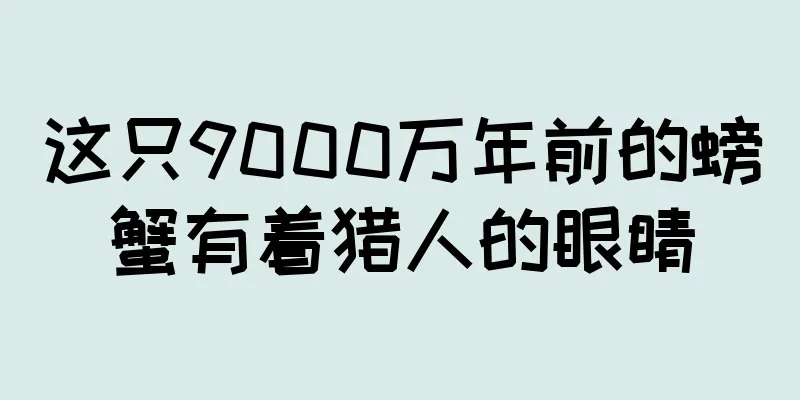 这只9000万年前的螃蟹有着猎人的眼睛