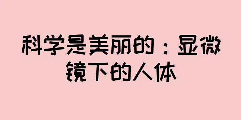 科学是美丽的：显微镜下的人体