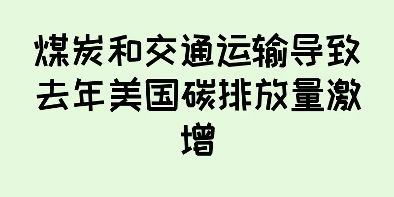 煤炭和交通运输导致去年美国碳排放量激增