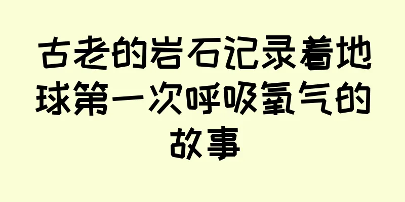 古老的岩石记录着地球第一次呼吸氧气的故事