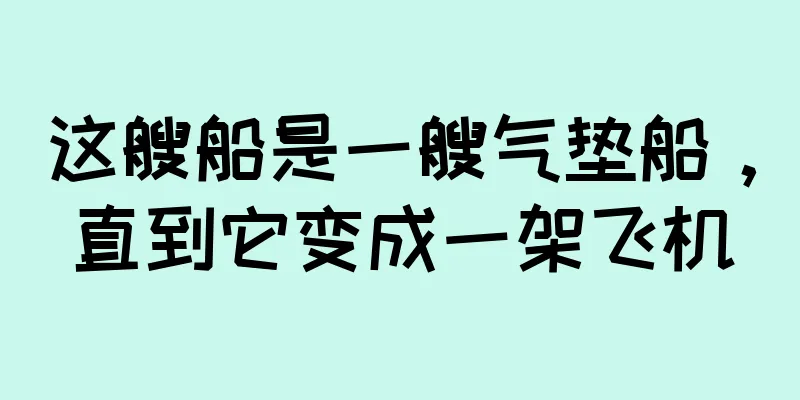 这艘船是一艘气垫船，直到它变成一架飞机