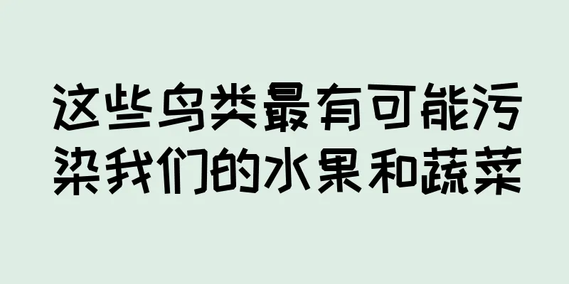 这些鸟类最有可能污染我们的水果和蔬菜