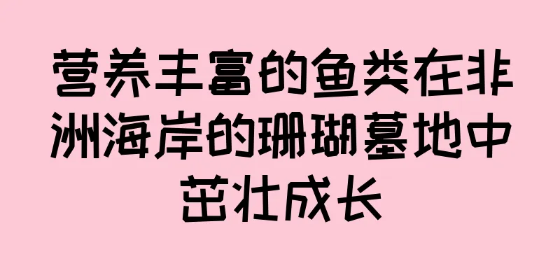 营养丰富的鱼类在非洲海岸的珊瑚墓地中茁壮成长
