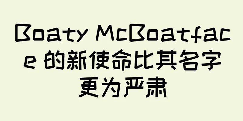 Boaty McBoatface 的新使命比其名字更为严肃