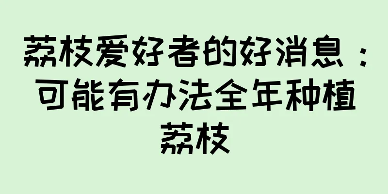 荔枝爱好者的好消息：可能有办法全年种植荔枝