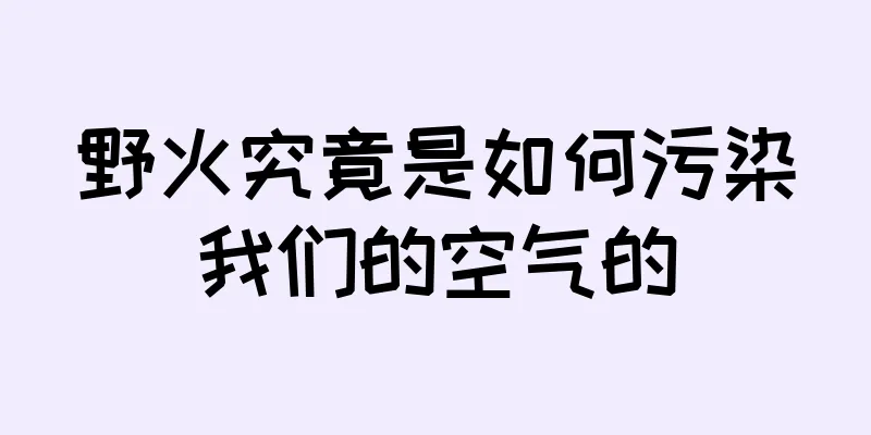 野火究竟是如何污染我们的空气的