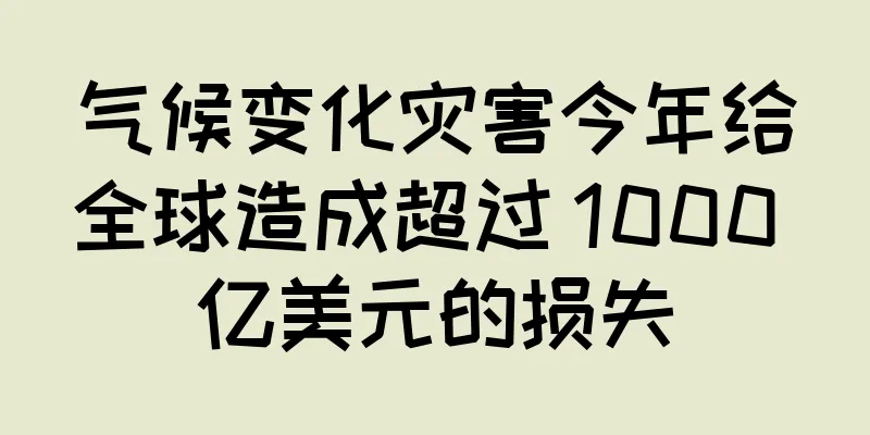 气候变化灾害今年给全球造成超过 1000 亿美元的损失