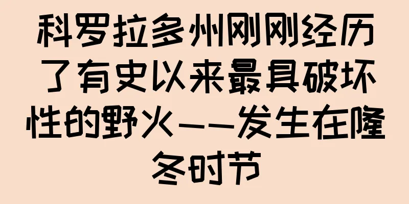 科罗拉多州刚刚经历了有史以来最具破坏性的野火——发生在隆冬时节