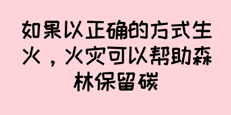如果以正确的方式生火，火灾可以帮助森林保留碳