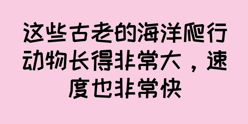 这些古老的海洋爬行动物长得非常大，速度也非常快