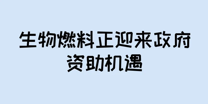 生物燃料正迎来政府资助机遇
