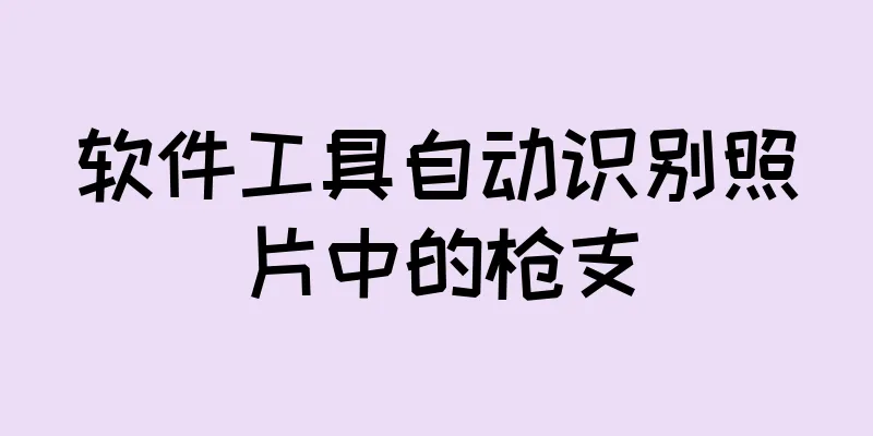 软件工具自动识别照片中的枪支