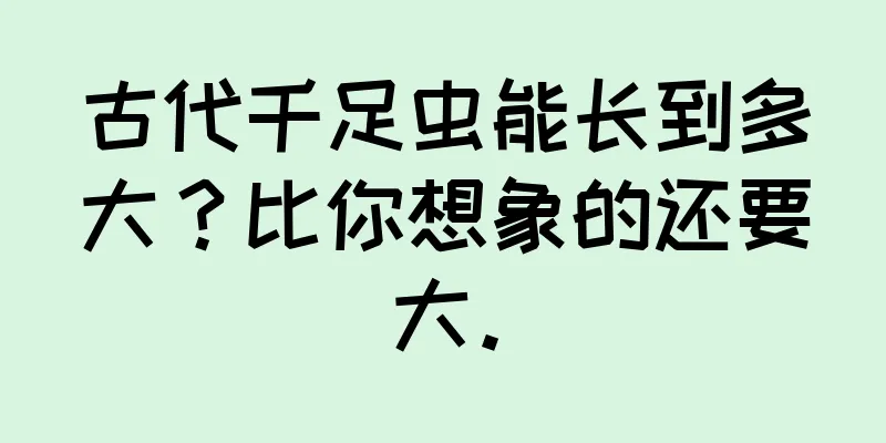 古代千足虫能长到多大？比你想象的还要大。