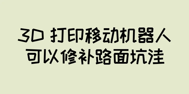 3D 打印移动机器人可以修补路面坑洼
