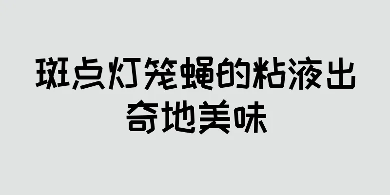 斑点灯笼蝇的粘液出奇地美味